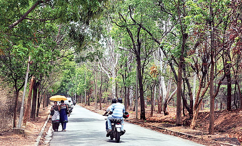 Students still in shock, campuses desolate