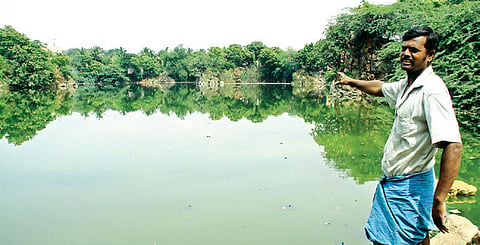 Mystery shrouds fish deaths