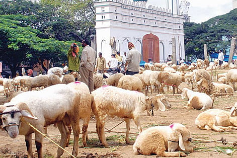 Bakrid: Goat dealers gloat