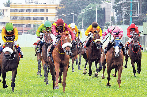 Racing enthusiasts pay for lapses
