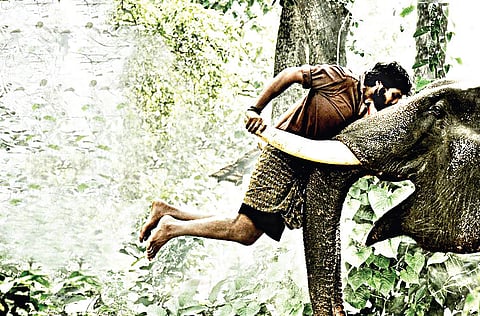 ‘Kumki’ (Tamil)