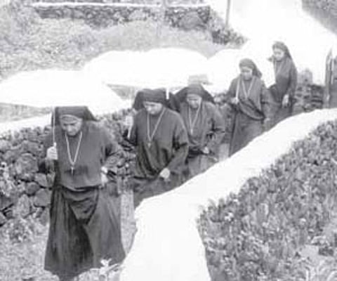 A still from 'Nurunguvettangal.' (inset) Leo Thaddeus.