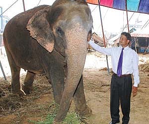 Circus faces performance anxiety