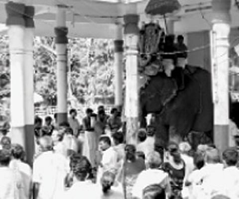 Aarattu procession being taken out from the Thrippara Lord Mahadeva Temple as part of the Shivarathri celebrations on Monday.