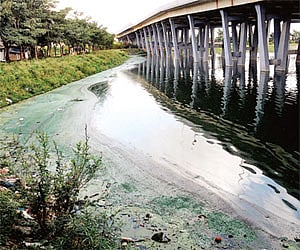 Lake despair: Filth over troubled waters