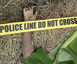 The hand of one of dead victims lies across a police line at a hillside in Datu Ampatuan, Maguindanao province, southern Philippines, on Tuesday. (AP)