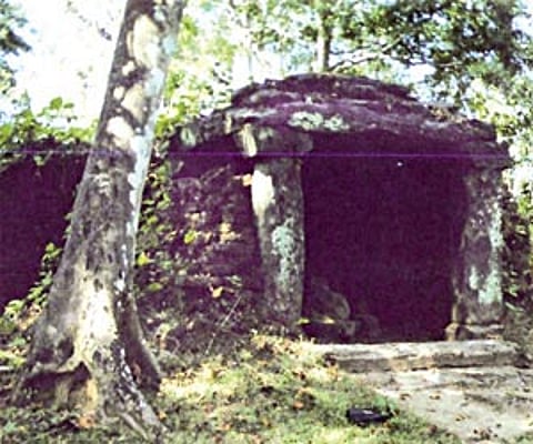 The ruins of the Shiva temple in the dense forests at Tenkal village near Sirsi | Express Photo