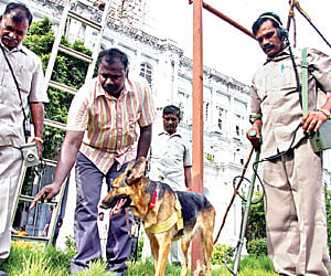 WHIFFING OUT DANGER: A special police squad team uses sniffer dogs to sanitise Ripon Building on Monday ahead of the swearing-in of Saidai Duraisamy.