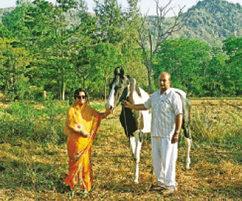 Mahipendra Singh of Danta with his horses (above); Kali Niketan at Chhota Udepur (below left); Ranjit Vilas Palace, Wankaner (below right)