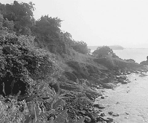 Karwar's Koormgad island a biodiversity hotspot