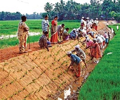 Cotton nets used for road construction at Kuttanad in Kerala