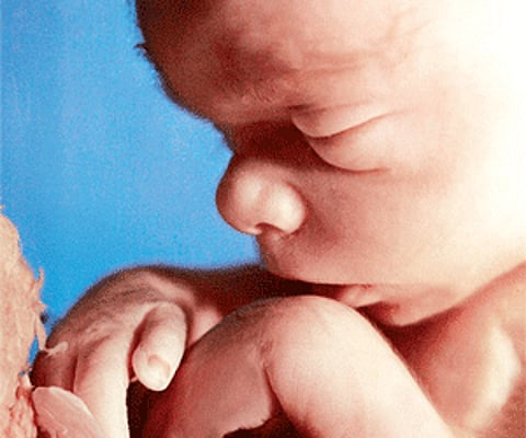 Scanning the infertility centres