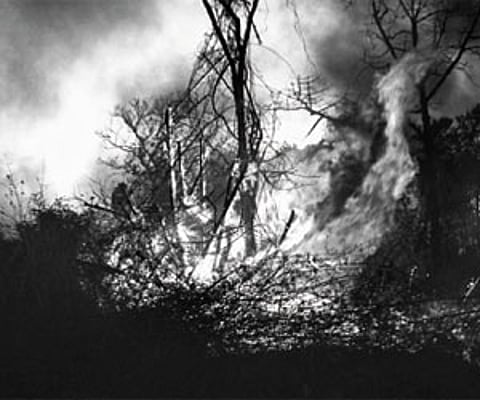 The fire of concern