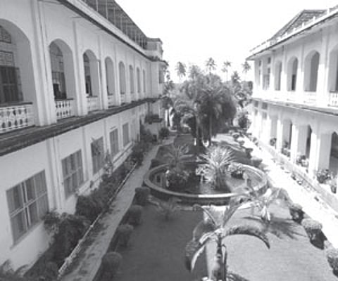 The trees and potted plants around the Sacred Heart College