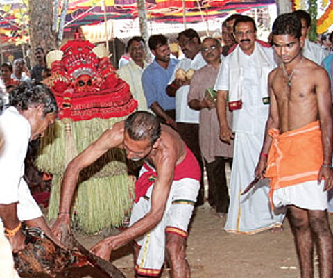 Gowda watches a cock sacrifice during the Bhoota Kola at his family house