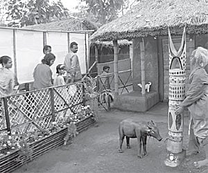 Celebrating life & culture of tribals