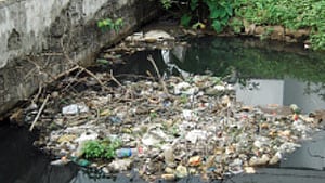 Most of the canals and drains are clogged with plastic waste in Kochi