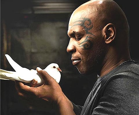 Former heavyweight champion Mike Tyson with a pigeon for his show ‘Taking On Tyson’.