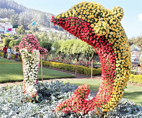 Heading to Ooty for a break? Hotels rent is high