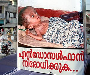 The billboard showcasing a victim of Endosulfan placed at the Old Bus Stand in Kannur (Express Photo).