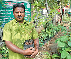 Mullaivanam of Chennai interested in planting at least one sapling a day.