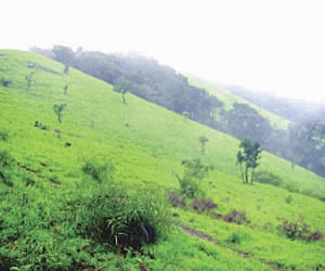 Enchanting Kodachadri
