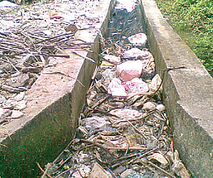 This storm water drain clogged with garbage in Madhavaram serves more as a breeding site for mosquitoes during rains
