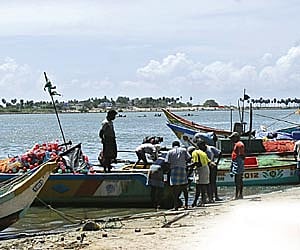Pulicat in dry dock, scorched by boating ban