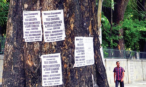 Stick no bills? Trees tacked, laws mocked