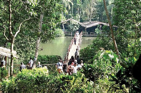 The spice of Goan life