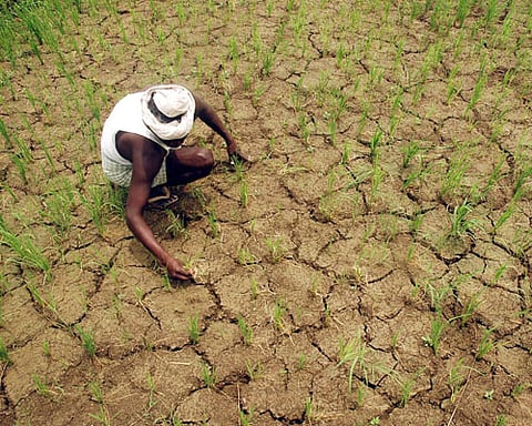 Maharashtra gets drought aid of Rs.778 crore