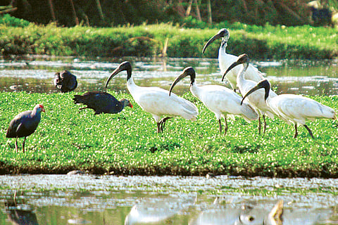 From lake to dumpyard