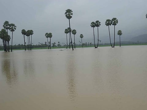 AP rain fury: Toll mounts to 42, over 84,000 evacuated