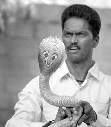 Animal Planet zooms in on Vava Suresh