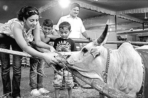 Pet and Aqua Expo attracting huge crowd