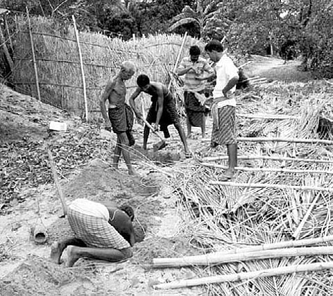 A day after Green Tribunal Notice: Betel vines demolished, trees spared