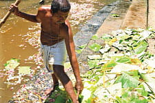City’s ‘biggest drain’ hoping against hope