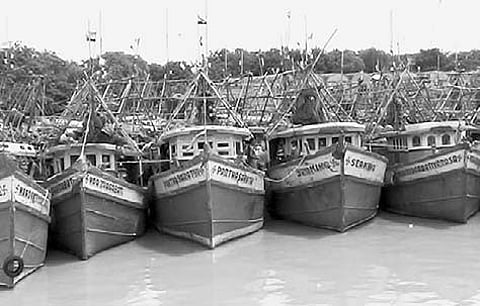 Fishing harbour wallows in neglect