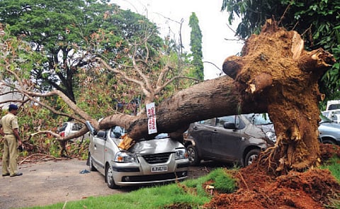 Lucky escape for residents as winds lash city