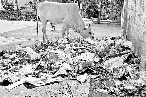 Viral fevers spreading fast in Chittoor district