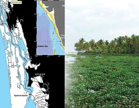 Anoxia Threatens Kochi Backwater Ecosystem