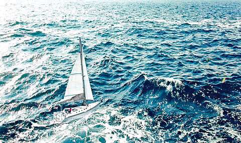 Go Explore The Big Blue World
