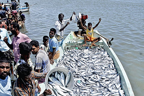 Little Awareness Among Pulicat Fisherfolk on Neighbourhood Port