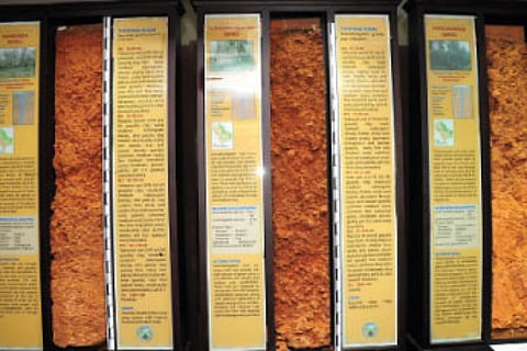 Soil Museum Expanding Beyond State Boundaries
