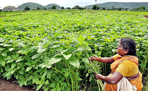 Kunchanapalli Wants to Remain in Time Warp