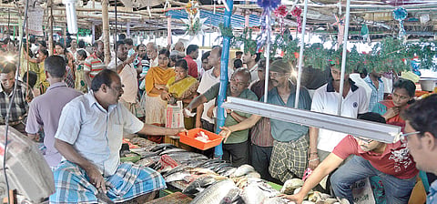 Fish Prices Soar as Choppy Seas Keep Fishermen at Bay Over Last Week