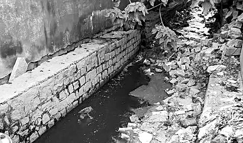 Slaughterhouse Waste Flows into Public Drain