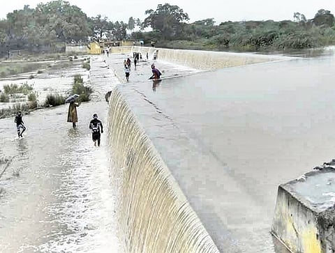 Farming Community in Cheers as Ponnai in Spate