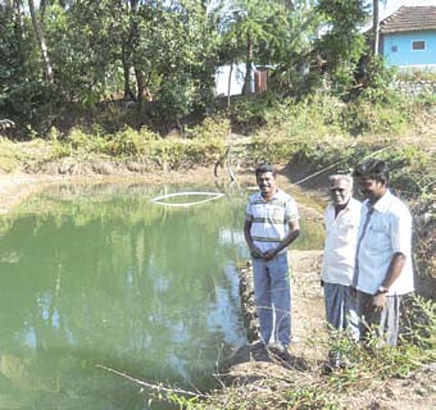 Open Ponds Driving Change in Water Scene in Palakkad