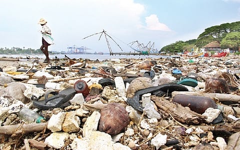 Andhra Leads in Generating Energy Using Waste